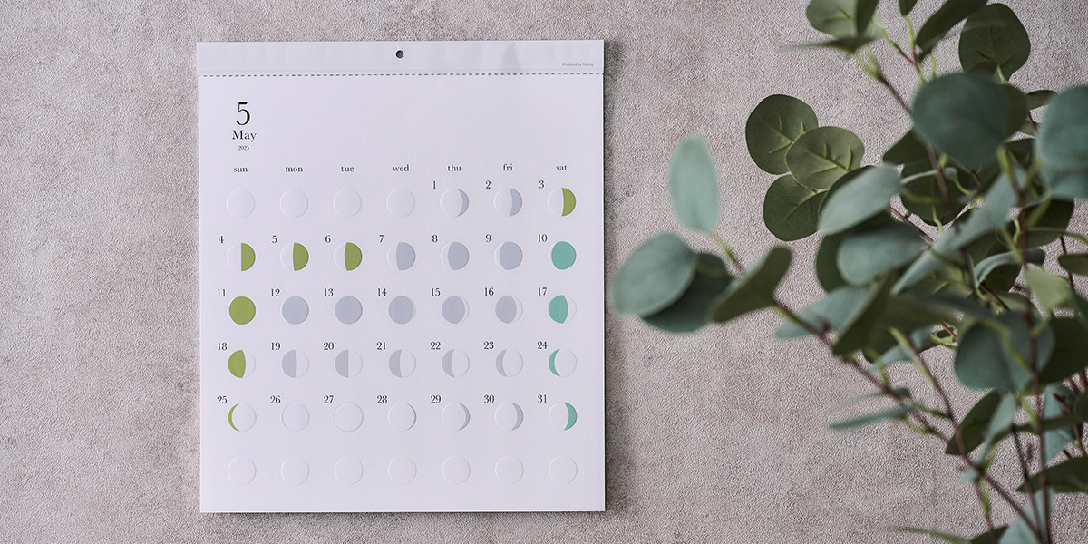 壁にかけたミチル5月とユーカリの葉