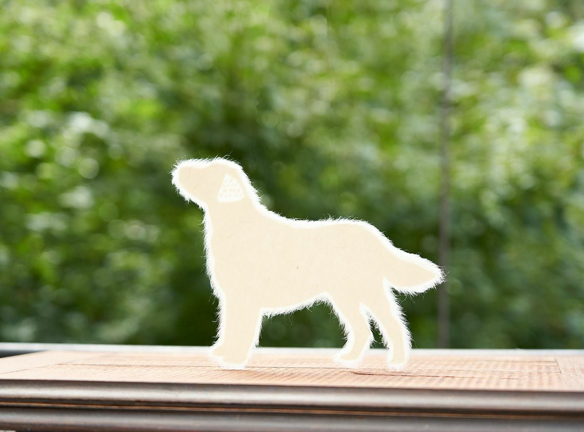 Washi犬