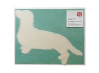 Washi犬