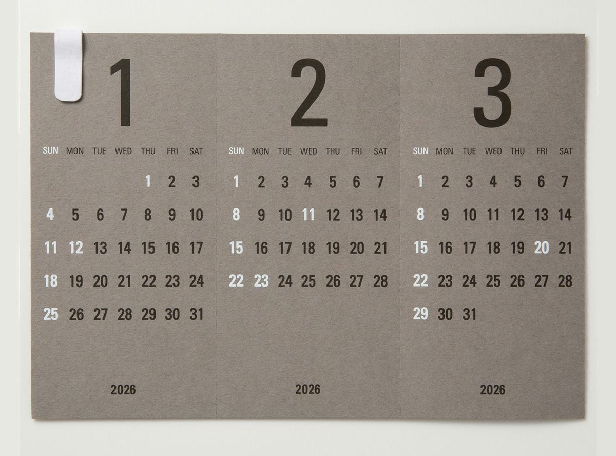 Re+g Triangular リプラグ　トライアングラー　x3セット