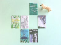 グラシンペーパーぽち袋 【長方形セット】