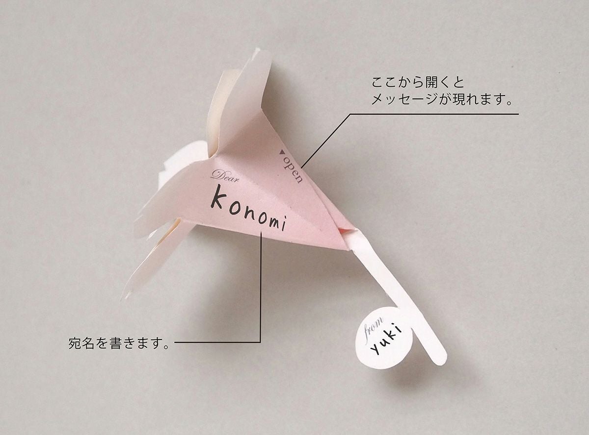 Hana-kotoba sakura（1枚入）