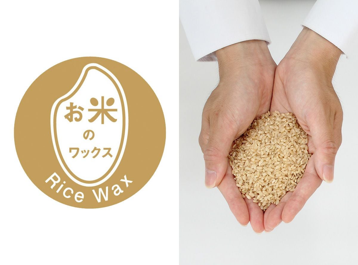 フィンガーペイントのお試しセット -アトリエ ミオ-