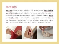 はじめてのペーパープレイブック FORNE