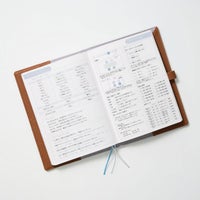 【ダイアリー単品】差がつくおしごと手帳2027 ［1月はじまり］is amulet.